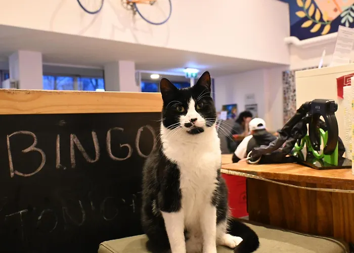 DutchiesHostel Amsterdam